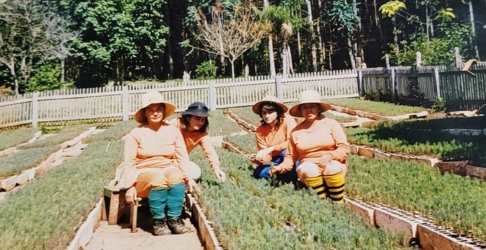 Fotografia antiga mostrando quatro mulheres trabalhando em um viveiro florestal de mudas. Elas usam uniformes de manga longa e chapéus de palha para proteção solar, posicionadas entre canteiros organizados cheios de pequenas mudas de árvores. Ao fundo, há uma cerca de madeira e uma floresta de pinheiros.