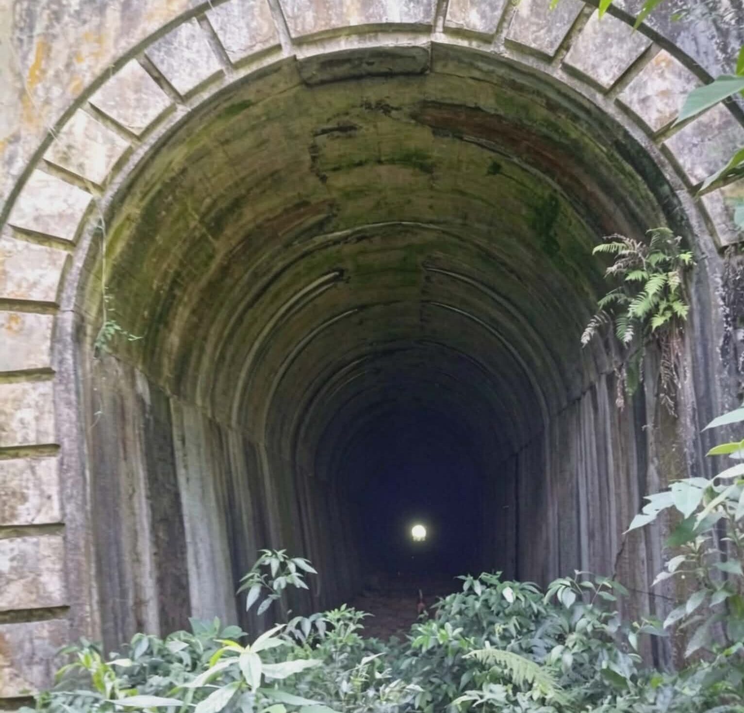 Fotografia colorida em plano frontal mostrando a entrada em arco de um antigo túnel ferroviário desativado. As paredes internas e os blocos de pedra da entrada estão cobertos por musgo verde e marcas do tempo, com vegetação nativa e samambaias crescendo nas bordas. O interior do túnel é escuro, destacando um ponto de luz circular ao fundo na saída.